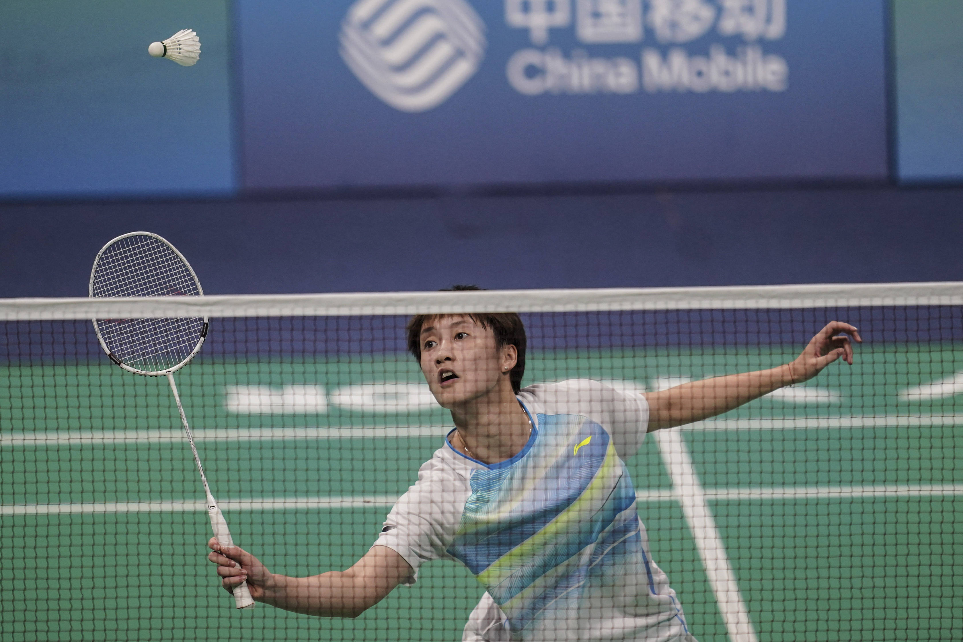 在中国的土 在中国的土